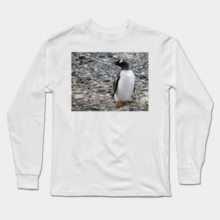 Gentoo penguin on the beach at Brown Bluff Long Sleeve T-Shirt